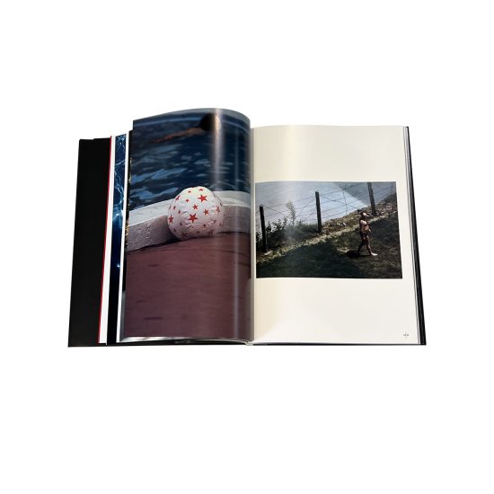 希少 川田喜久治 世界劇場 The Globe Theater 550部限定 希少 川田