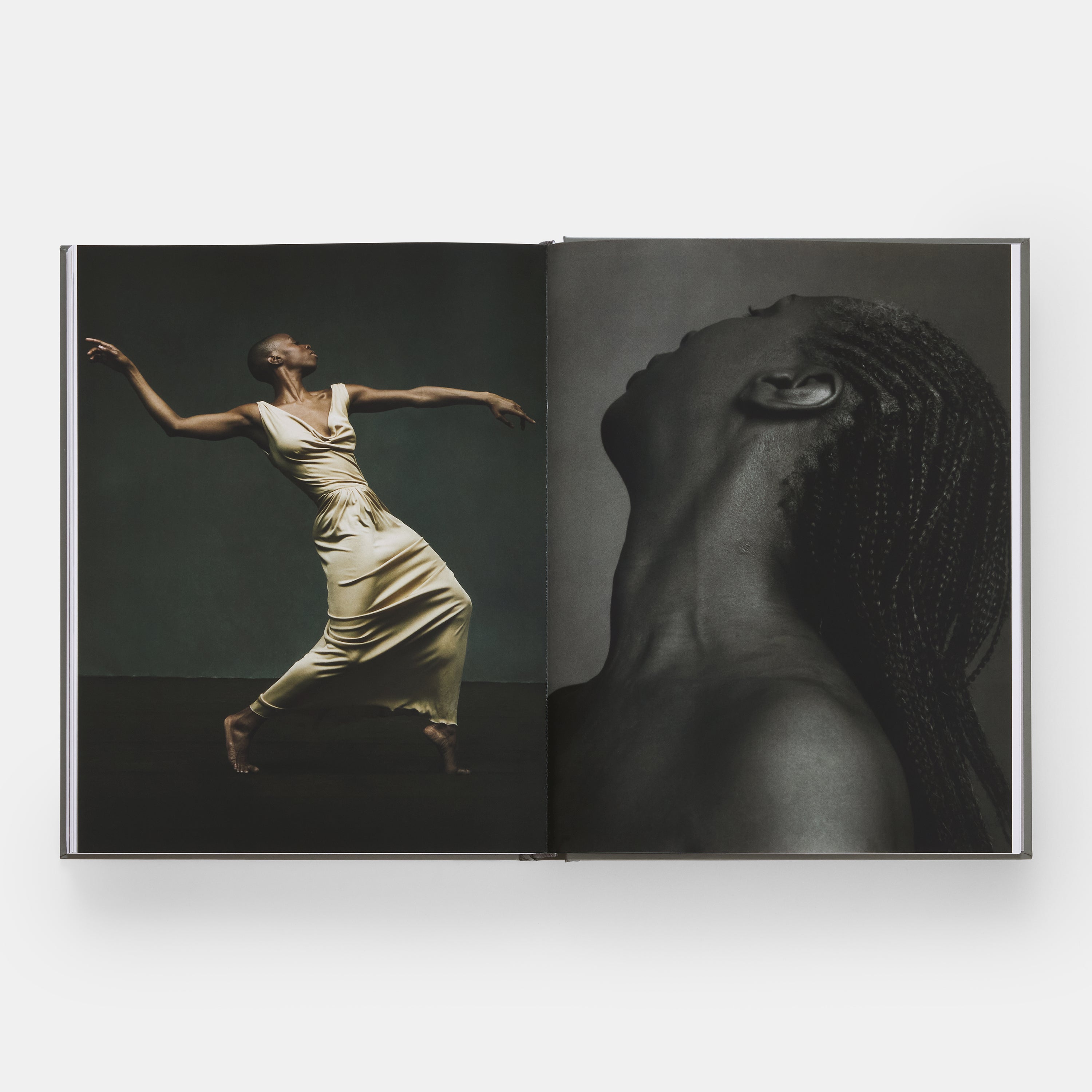 The Seventh Dog | Standard Edition | 9780714848532 – Phaidon