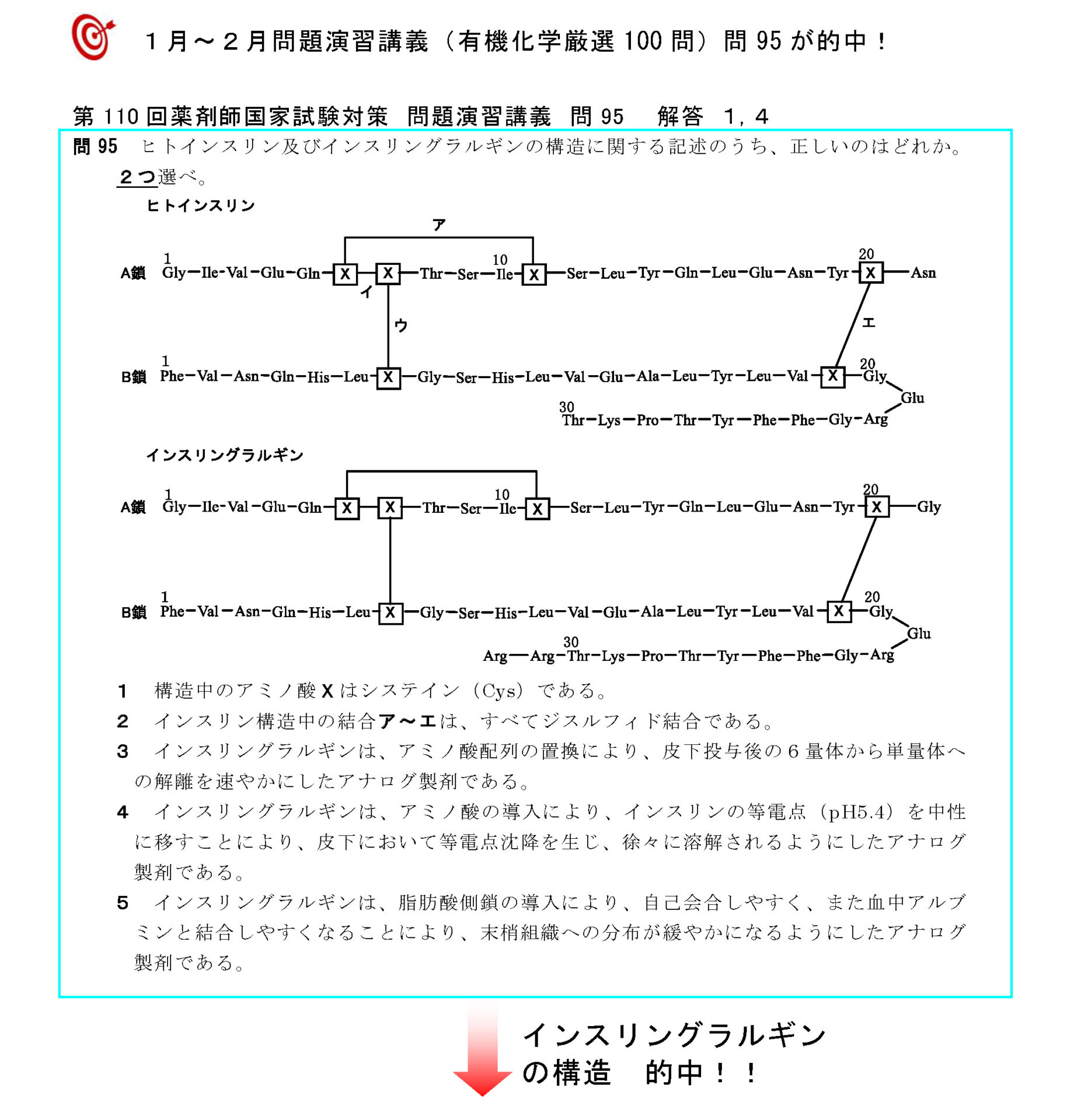 第110回 薬剤師国家試験 的中問題 – 薬剤師国家試験対策予備校