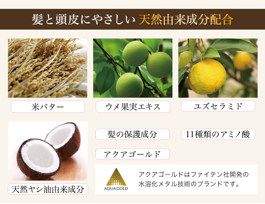 LOCK IN COLOR シャンプー 300ml | ファイテン公式通販サイト