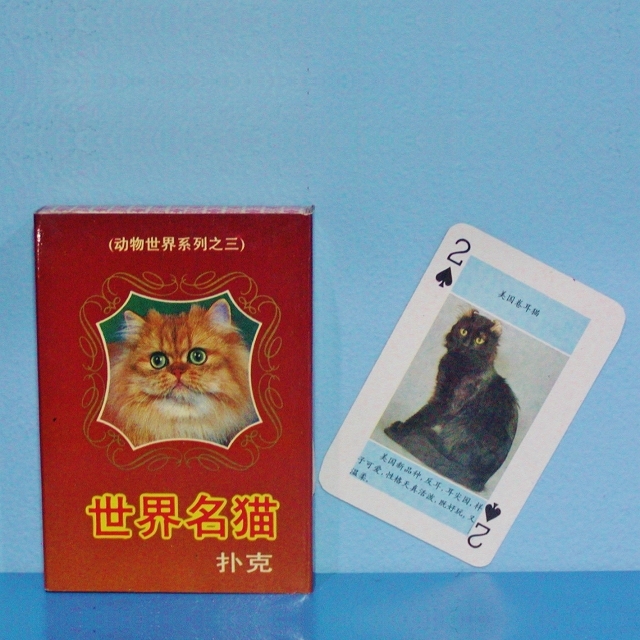 90sレトロチャイナ/世界名猫トランプ/南堀江/ピサヌローク