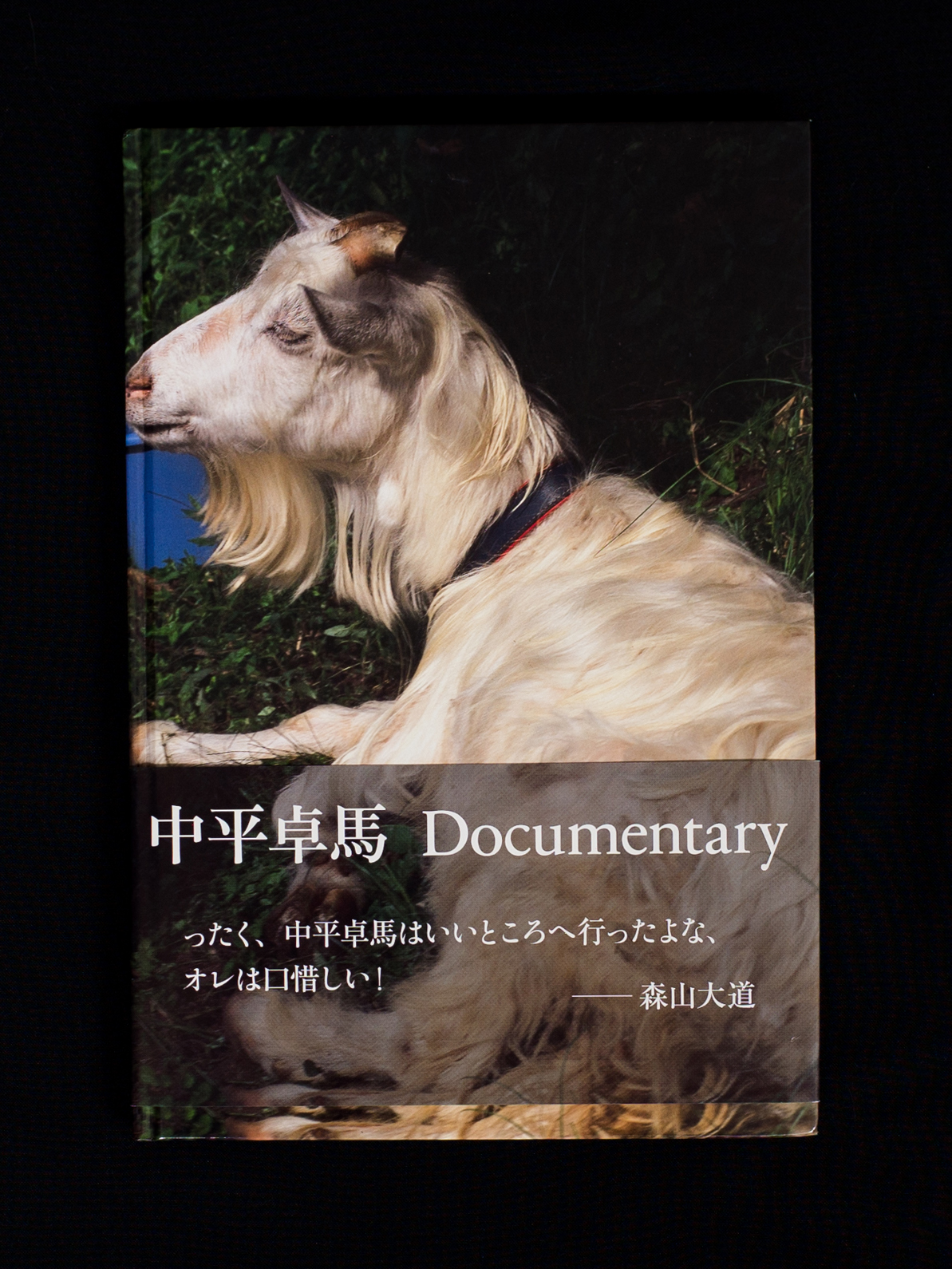 Documentary》 – Dialect 方言社