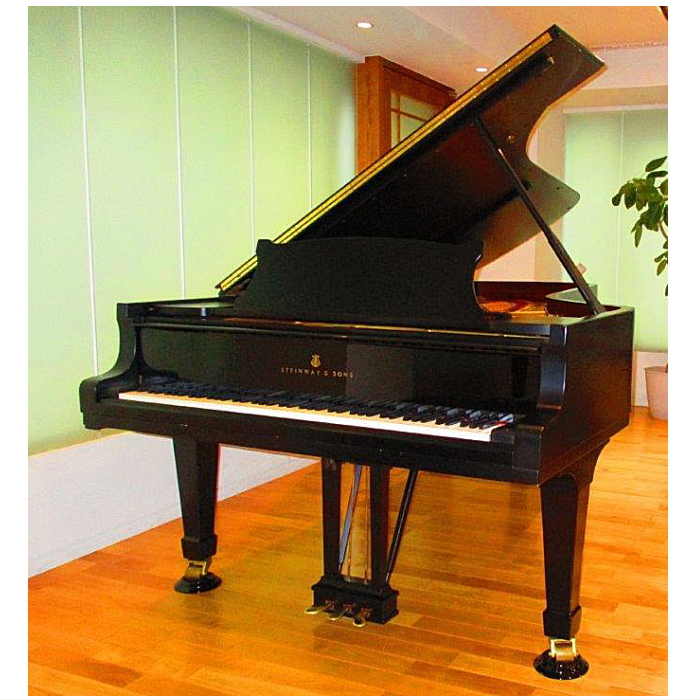 株式会社ピアノプラザ | STEINWAY Model.D(429X)