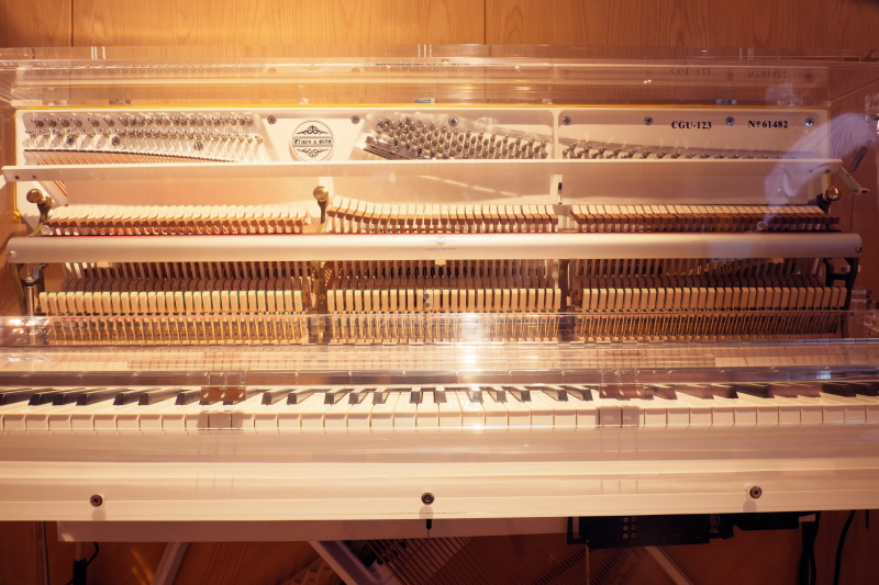 株式会社ピアノプラザ | Elisen CGU-123