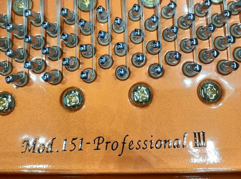 株式会社ピアノプラザ | WENDL G-151E(3828)