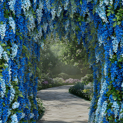 Premium Carnation Bush x7, 18.5