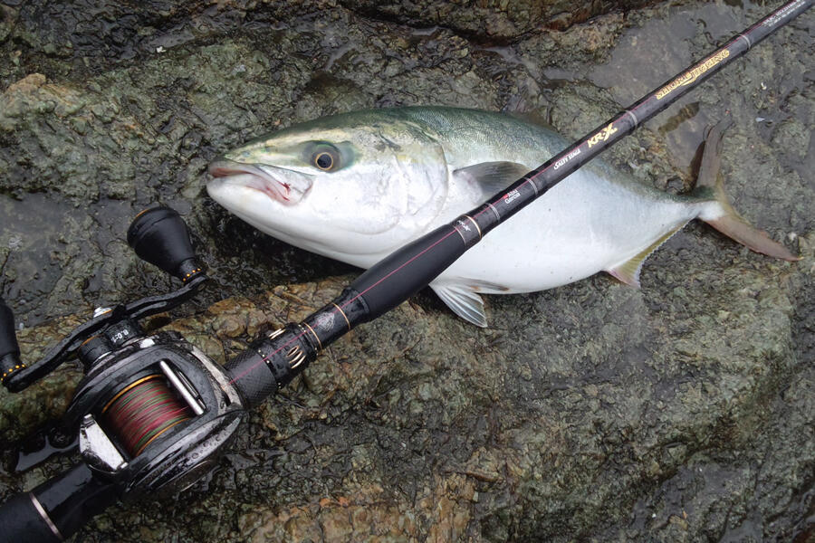 Salty Stage KR-X ShoreJigging (ソルティーステージKR-X ショアジギ