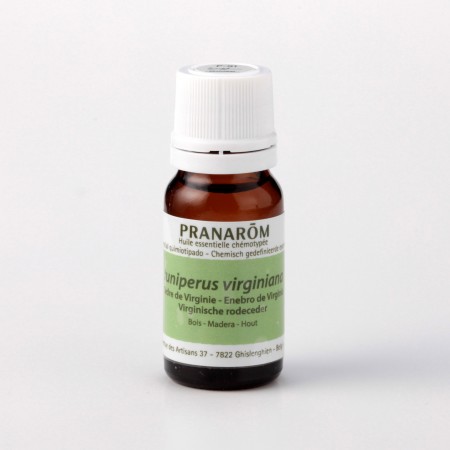シダー – プラナロム エッセンシャルオイル・精油｜健草医学舎