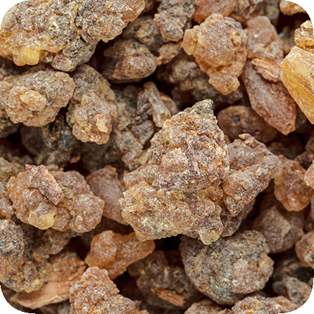 ベンゾイン – プラナロム エッセンシャルオイル・精油｜健草医学舎