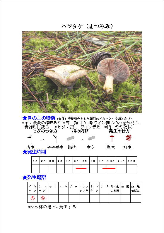 22/30)ハツタケ(まつみみ) | 石川県