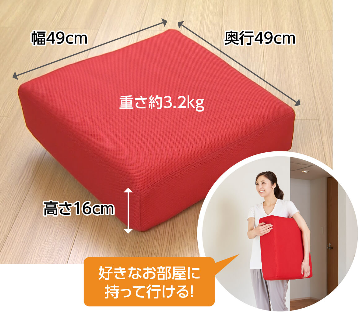 シェイポリン ロコックス トランポリン運動 クッション | TV