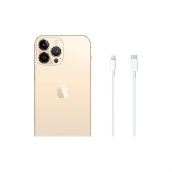 Apple iPhone 13 Pro Max 256GB gold 17,0 cm 6,7 Zoll rent