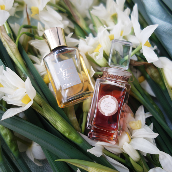 Narcisse Blanc / ナルシスブラン