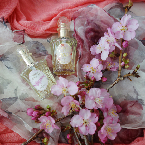 Cherry Blossom / チェリーブロッサム