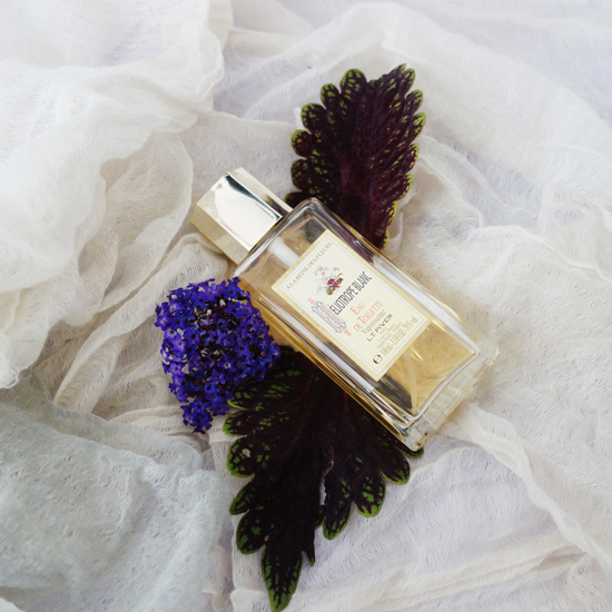 Heliotrope Blanc / ヘリオトロープ・ブラン