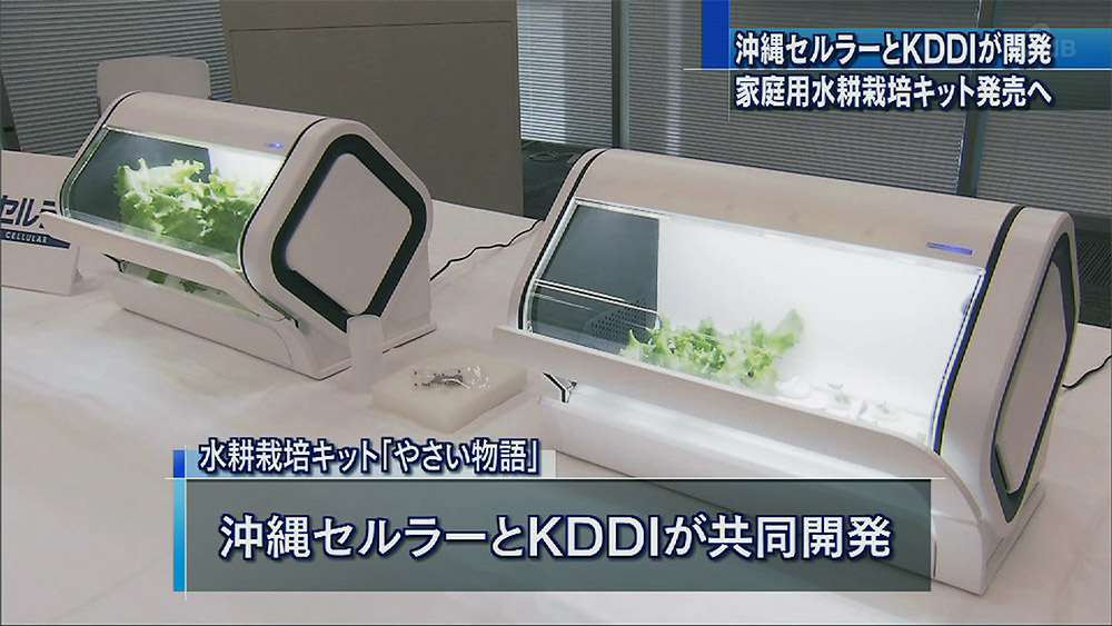 スマホと連動 自宅で野菜栽培 – QAB NEWS Headline