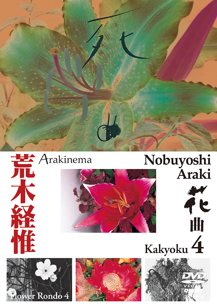 荒木経惟 Arakinema花曲4 死曲