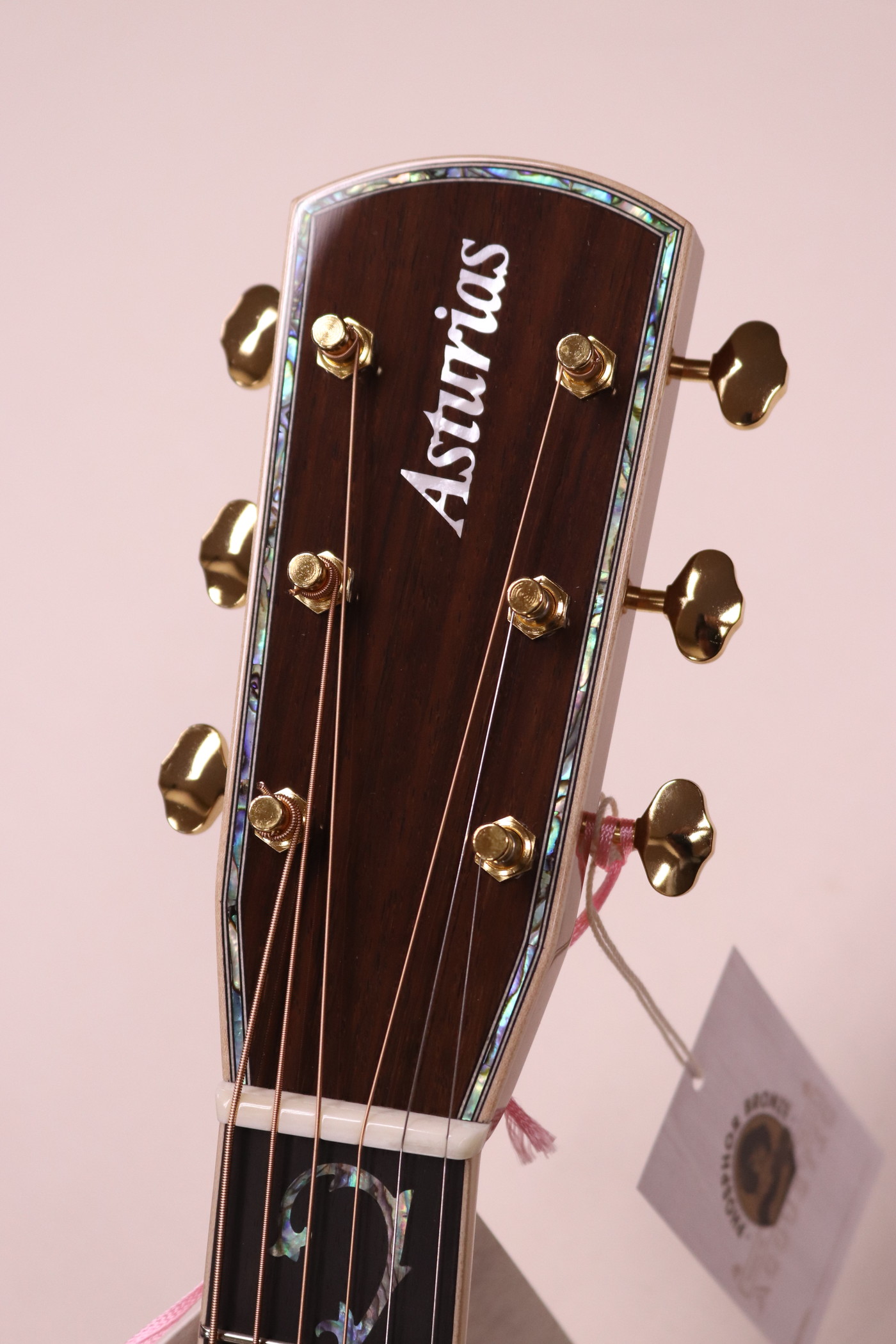 ASTURIAS アストリアス ツリーオブライフ | ギター・バイオリン