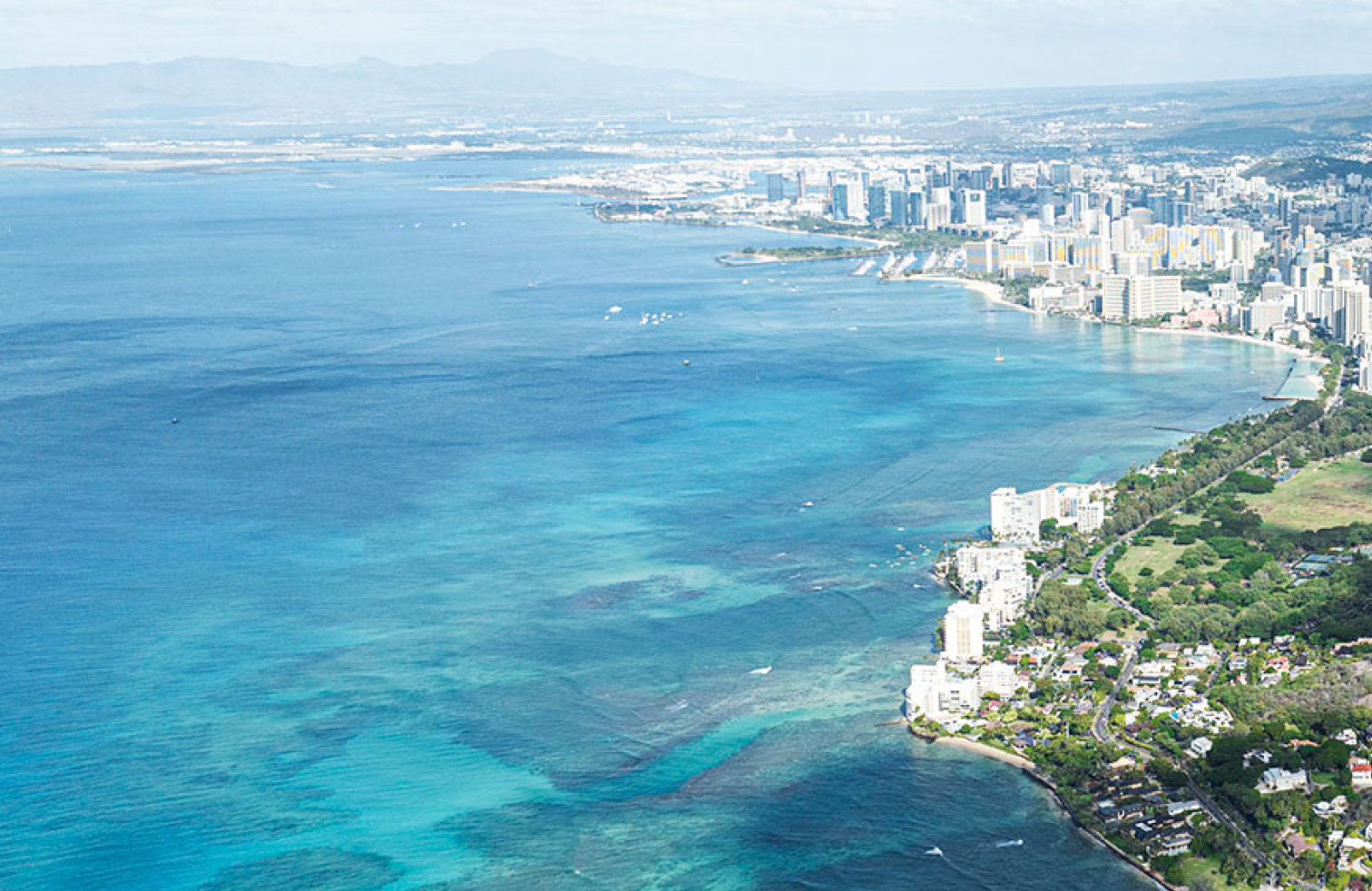 Ron Herman | Since 1976