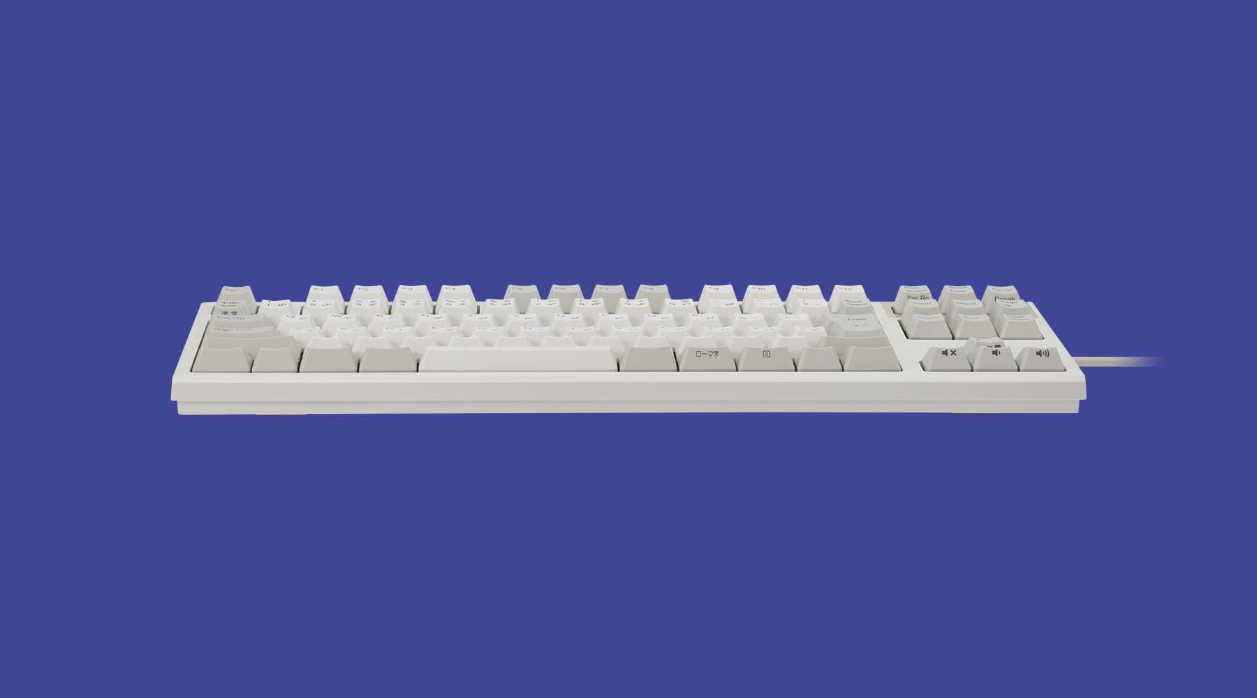 製品 : REALFORCE TKL SA / R2TLSA-JP3-IV | REALFORCE | 日本製