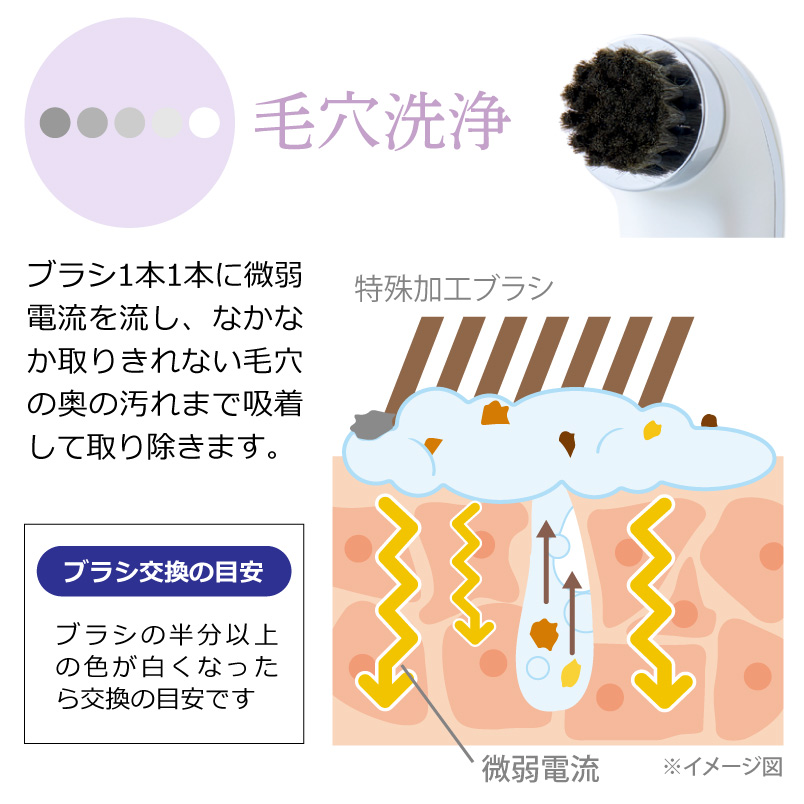 ドクターリセラ (Aqua Venus)公式オンラインショップ / 製品詳細