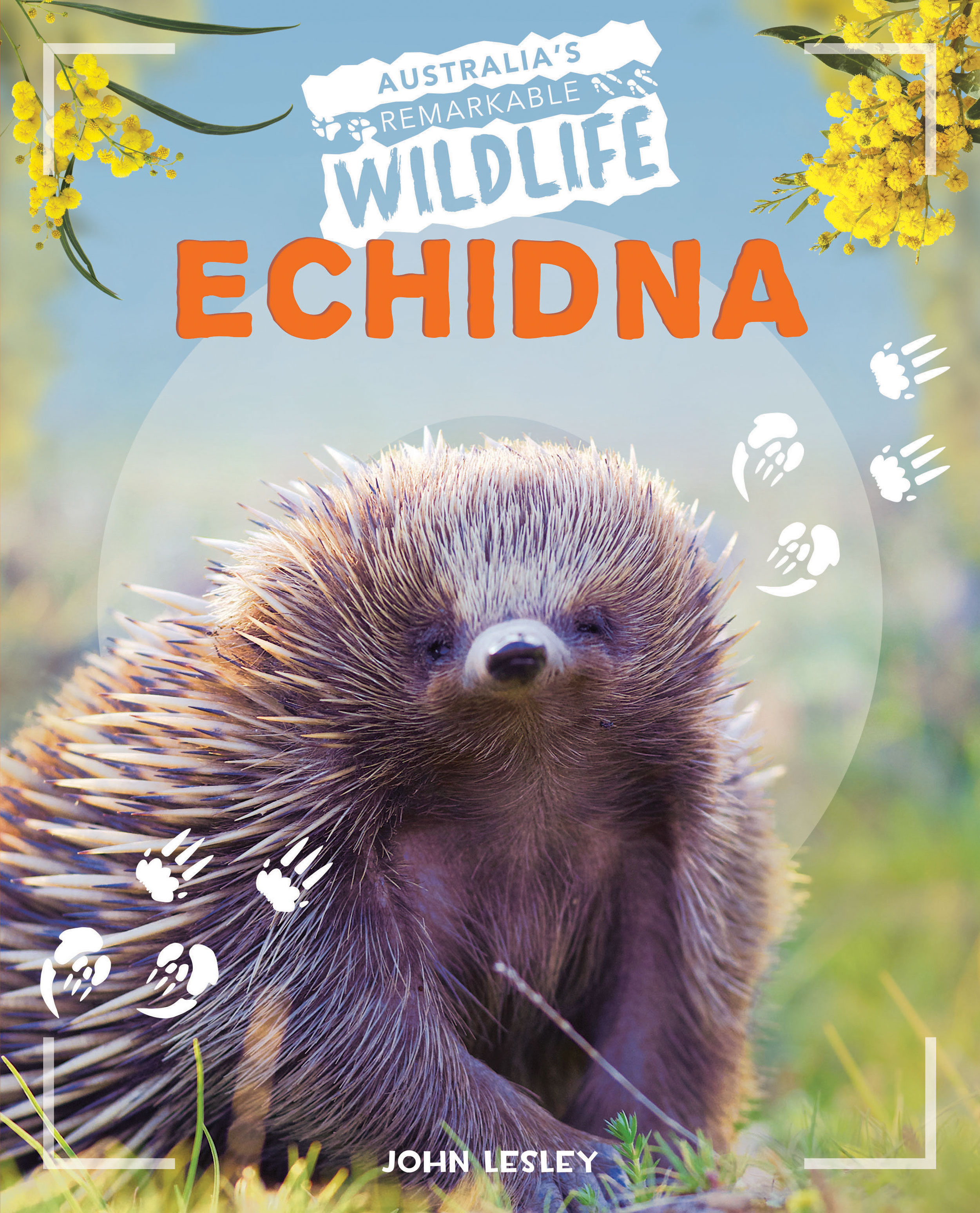 Echidna by - Redback Publishing Australia