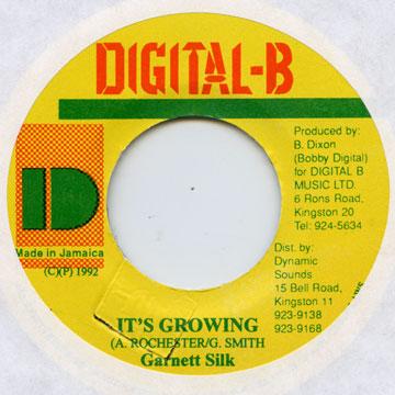 Garnett Silk - It's Growing(7