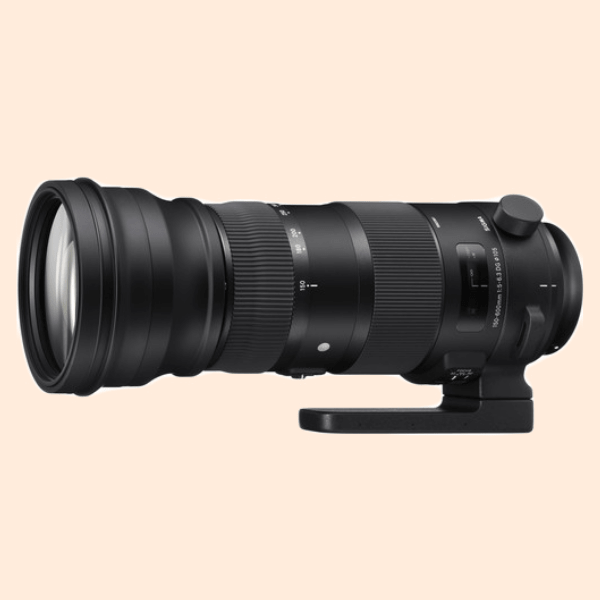 sigma_150-600mm_f5-