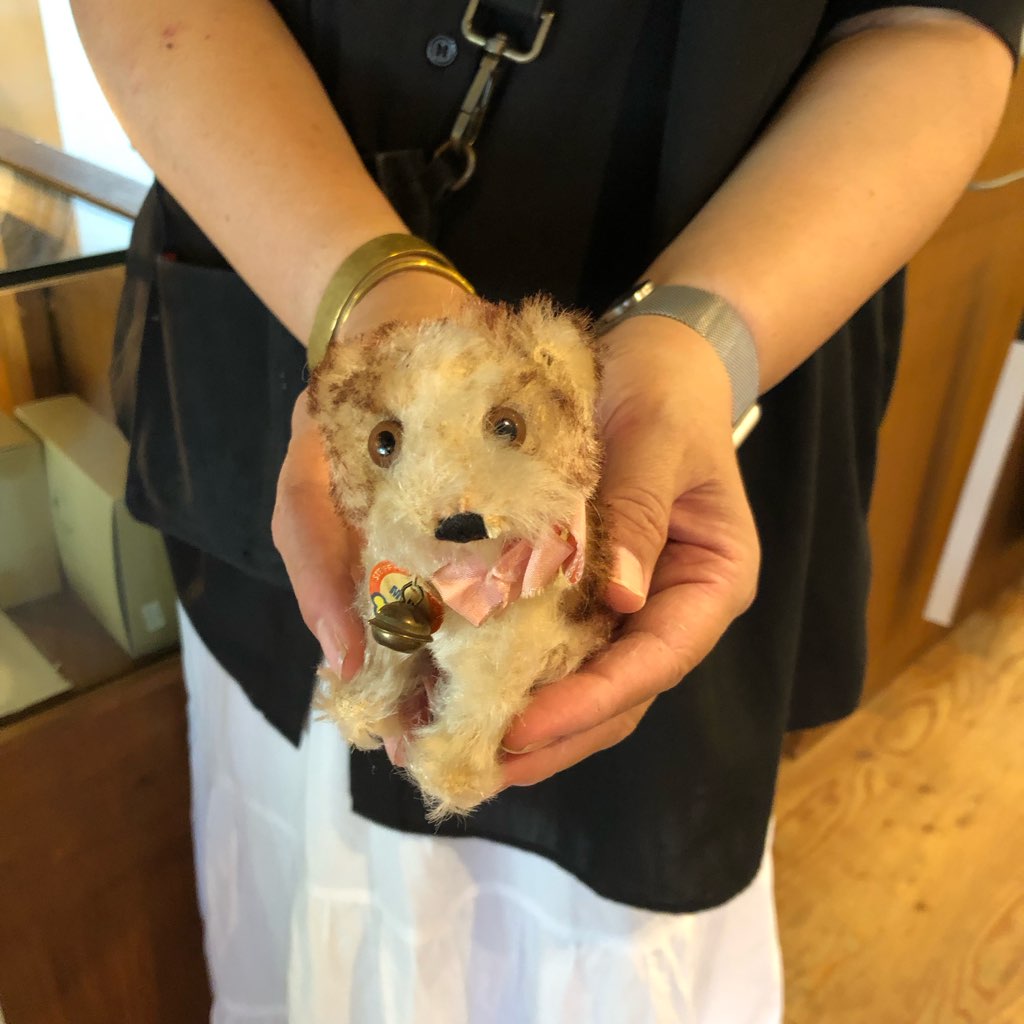 シュタイフ / Steiff 子犬のモリー/ Molly ぬいぐるみ ドイツ