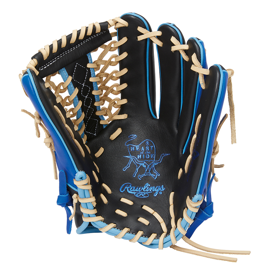 Rawlings 軟式グローブ 黒と水色 Rawlings 野球グローブ 水色/黒 野球