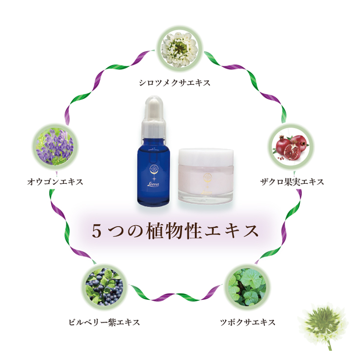 楽天市場】Leena エクラ セラム オールインワンで与えたうるおいを逃さ