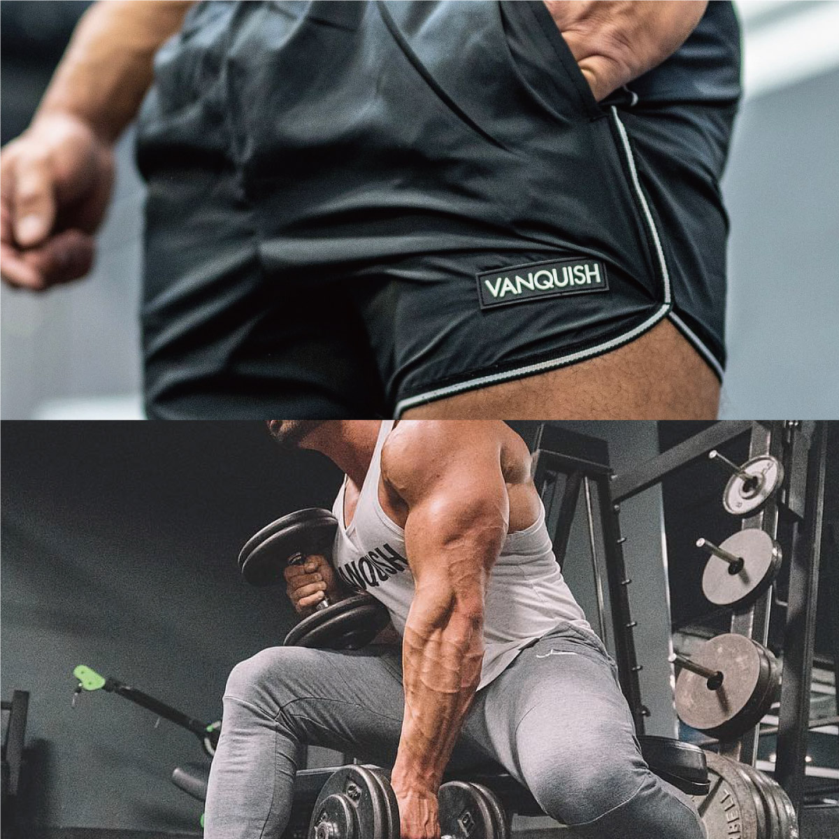 楽天市場】ヴァンキッシュ サーフパンツ VANQUISH FITNES VQ White