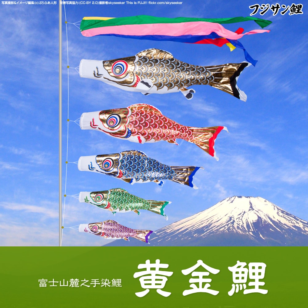 鯉のぼり フジサン鯉 黄金鯉 | prefer