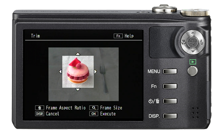 CX2 / Digital Cameras | Ricoh Global