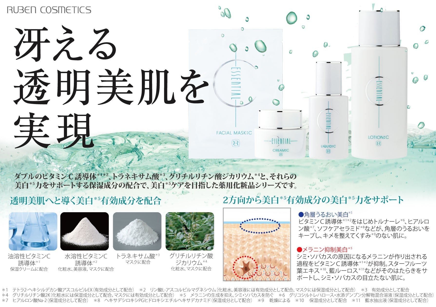 ボンミール21 エッセンシャルローション C (S) – ルーベン化粧品