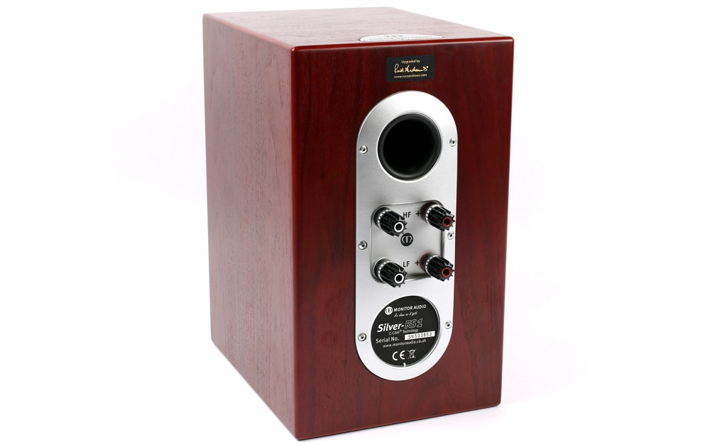 Monitor Audio Silver RS1 Speakers Upgrade | Speaker upgrades