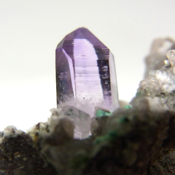 岡山のパワーストーン、風水・開運グッズのお店 龍祥本舗 / ベラクルス