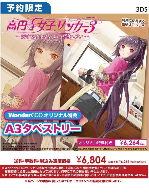 3DS 高円寺女子サッカー3 ～恋するイレブン いつかはヘブン