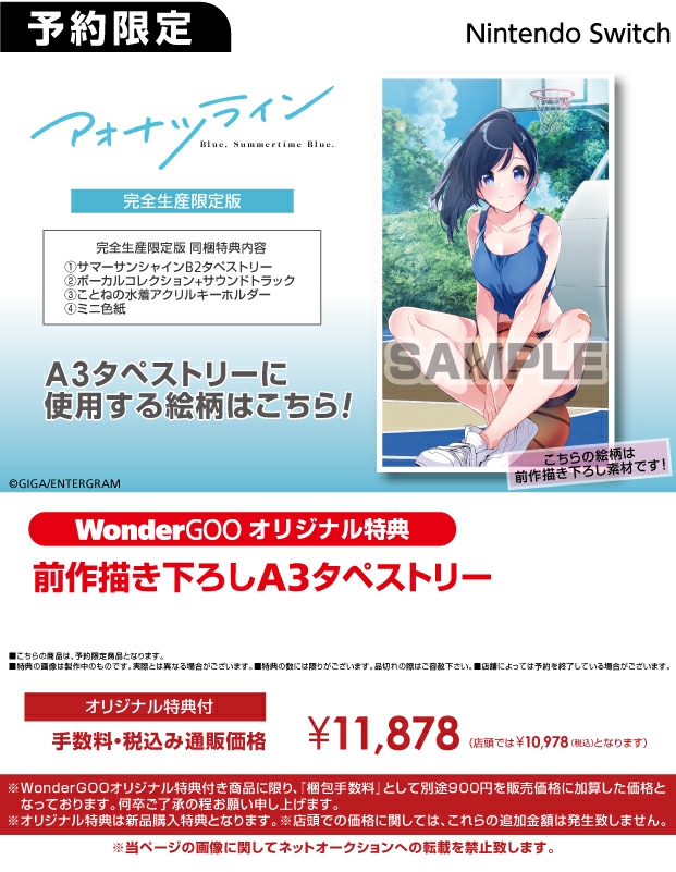 Nintendo Switch アオナツライン 完全生産限定版 【オリ特】A3
