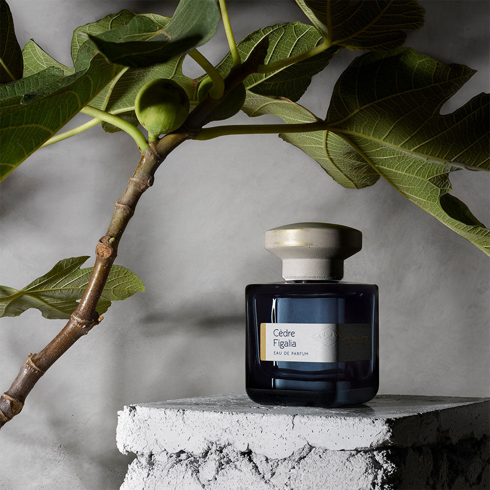 Cèdre Figalia – Eau de Parfum – 100ml » Jetzt online kaufen