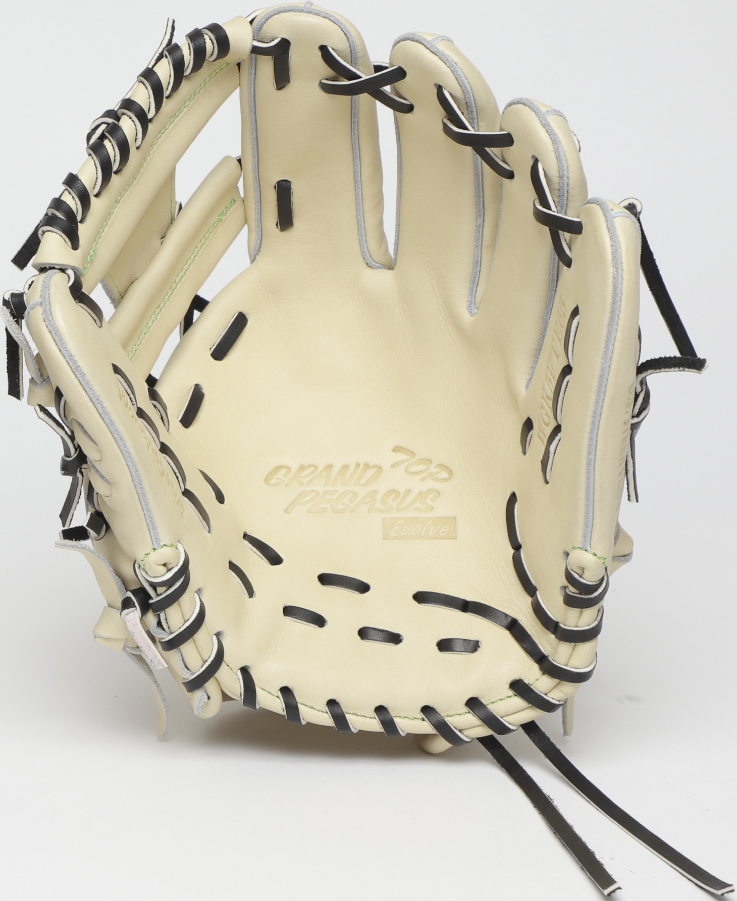 WGK5FTE65｜ワールドペガサスジャパン株式会社