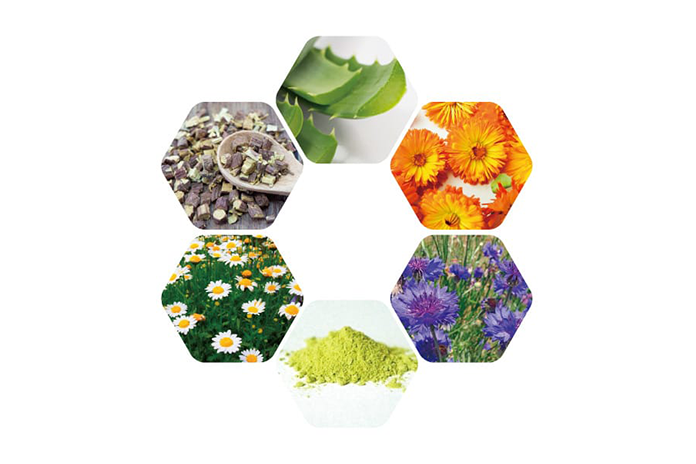 イトーフェイスモイスチャーゲル | コンディショニング機器 他 | 伊藤