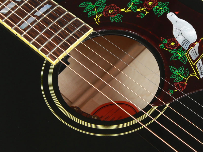 Gibson ギブソン Dove Original - Ebony #22063013 | ワタナベ楽器店