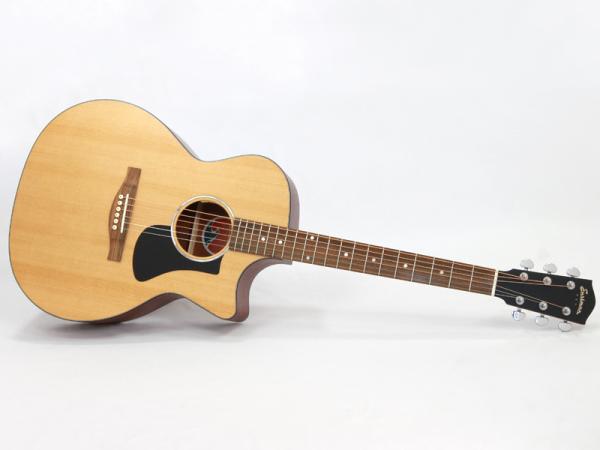 EASTMAN イーストマン PCH1-GACE アコースティックギター エレアコ