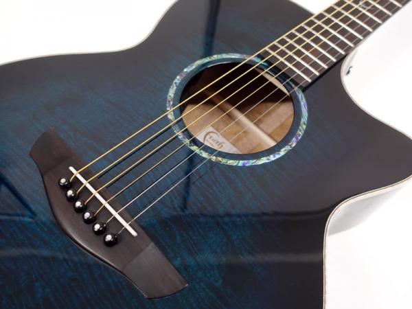 Faith FVBLM BLUEMOON VENUS【アコースティックギター エレアコ 日本