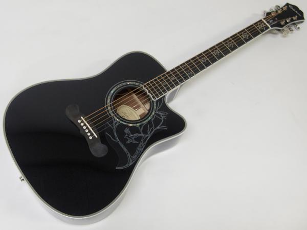 Epiphone エピフォン Dave Navarro Signature 40%OFF! | ワタナベ楽器
