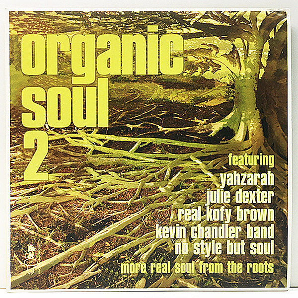 VARIOUS / Organic Soul 2 - More Real Soul From The Roots (LP