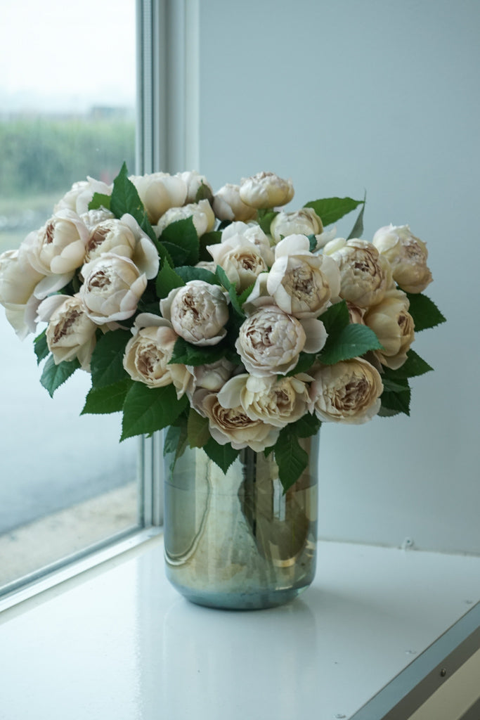 ROSE CHARLOTTE PERRIAND – WABARA online store