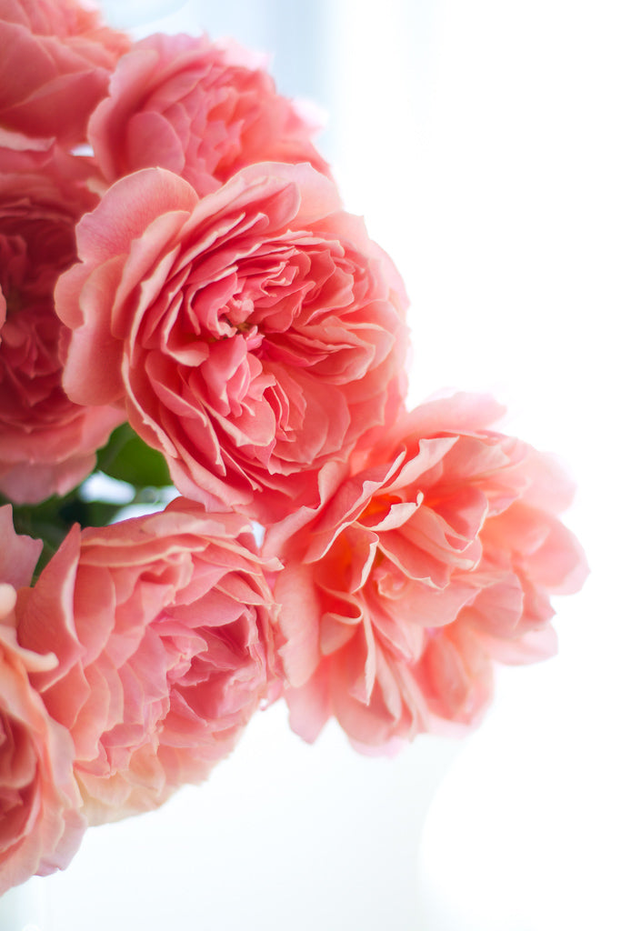 ばらの花びら茶 #2：かおりかざり – WABARA online store