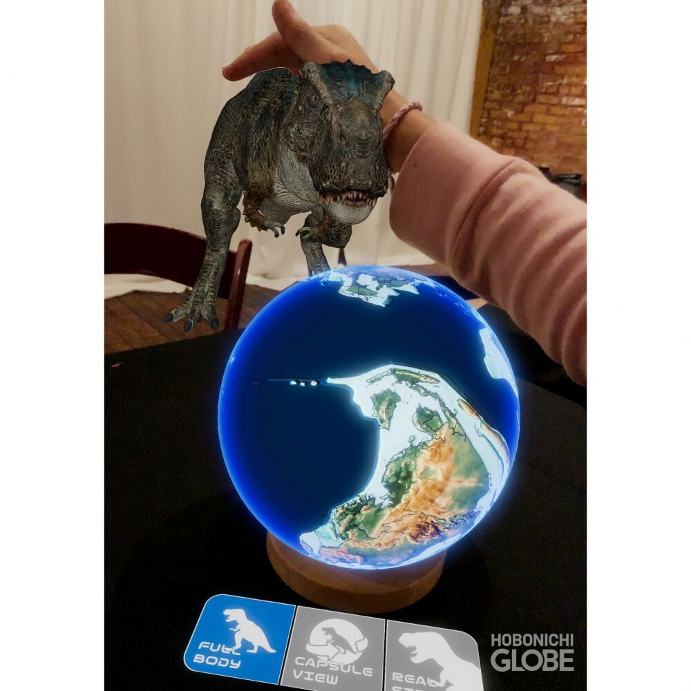 ほぼ日のアースボール | おもちゃ通販のトイザらス オンラインストア